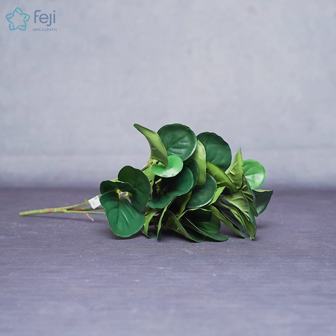 Peperomia Green Creeper Plant